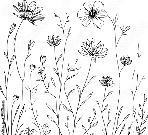 Single-line drawing of wild flowers growing naturally, organic nature concept, clean minimalist design