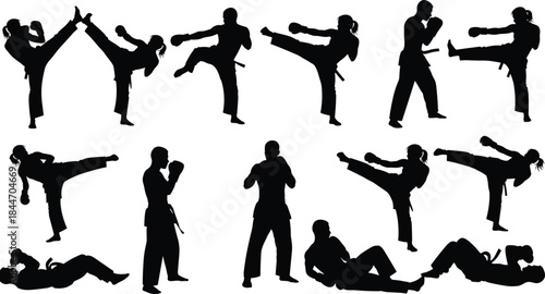 Dynamic Martial Arts Fighter Silhouette Vector Set: Female and Male Athletes in Kickboxing, Karate, and Taekwondo Action Poses for Sport Design