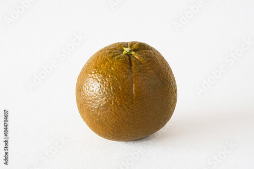 chocolate navel orange, orange with brown skin, close-up