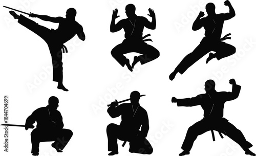 Dynamic Martial Arts Silhouette Vector Set: Action Poses, Karate, Taekwondo, and Ninja Fighters with Swords for Sport, Training, and Combat Design