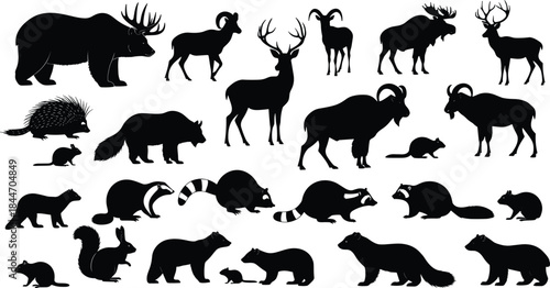 North American Forest Animals Vector Silhouette Set: Wildlife Collection Including Deer, Bear, Moose, Raccoon, Squirrel, and Beaver Icons.