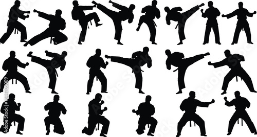 Set of Female Ballet Dancer Silhouette Vector Icons: Women Performing Classic Ballet Poses, Jumps, and Arabesques for Dance Studio and Artistic Graphics