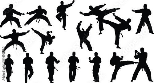 Set of karate and martial arts fighter silhouettes performing blocks, punches, and dynamic kicks, isolated vector for combat sport concepts.
