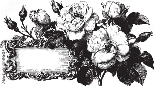 Floral design featuring roses and leaves in a black and white illustration. This ornate vector illustration includes decorative elements typical of vintage style.