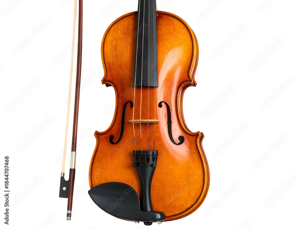 Fototapeta premium Elegant wooden stringed instrument with bow