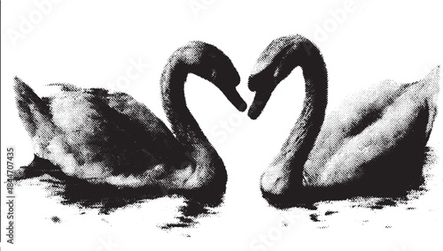 Swans forming a heart shape, representing love and romance. This black and white vector illustration features a simple design, suitable for various projects.
