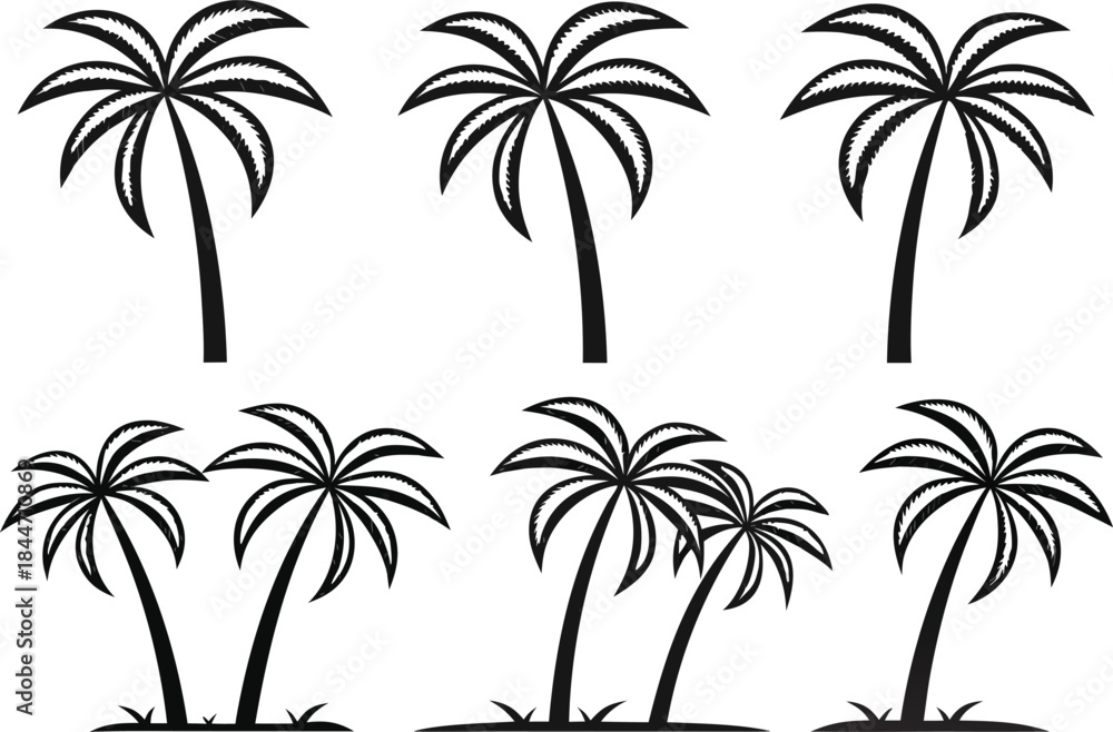 Fototapeta premium Palm Tree Set in Clean Outline Strokes. Minimal Palm Tree Illustration with Line Art Style. Tropical Palm Tree Design in Outline Style. Coastal Palm Tree Collection with Thin Line Art. Natural Palm