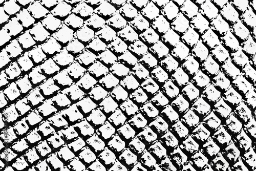 A close up view of a textured black and white reptile skin pattern
