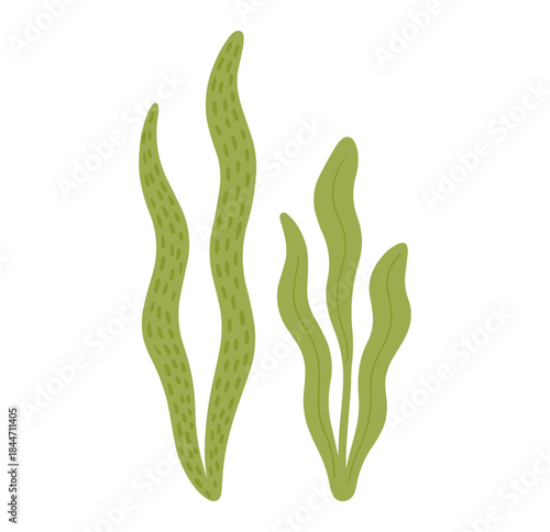 Stylized seaweed fronds create a breezy underwater vibe, perfect for ocean-themed designs, coastal brands, or adding a touch of serene nature to creative projects