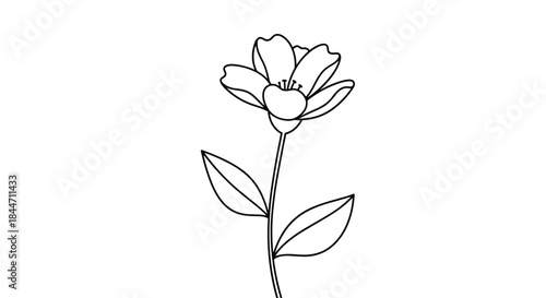 Simple and elegant single flower with a stem and two leaves drawn in a clean black line art style isolated on white background.