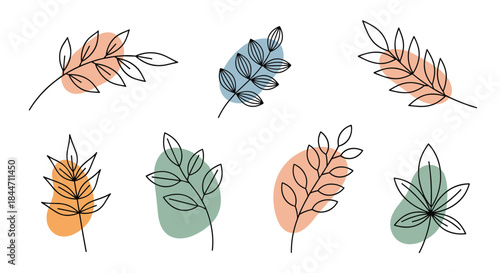 Collection of hand-drawn botanical branches and leaves with abstract pastel color shapes for modern minimalist wall art decor.