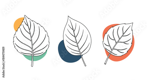 Collection of three modern leaves in a minimal line art style with abstract colorful shapes for contemporary botanical wall decor.