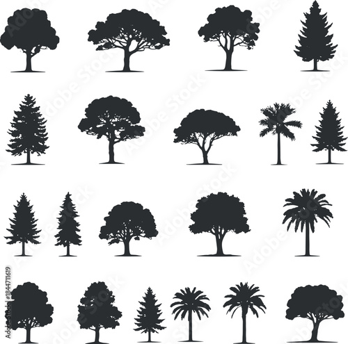 Tree Silhouette Vector Set - Diverse Collection of Forest, Palm, and Evergreen Tree Shapes on Transparent Background for Landscape Design, Environmental Graphics, and Nature-Themed Projects