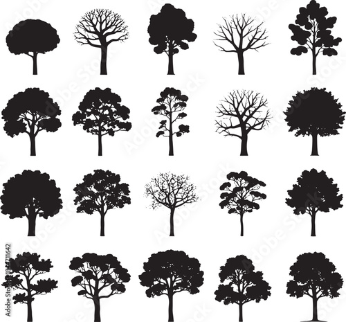Tree Silhouettes Collection. Different Types of Forest and Park Trees for Nature Landscape, Environment Design, and Architecture Vector EPS