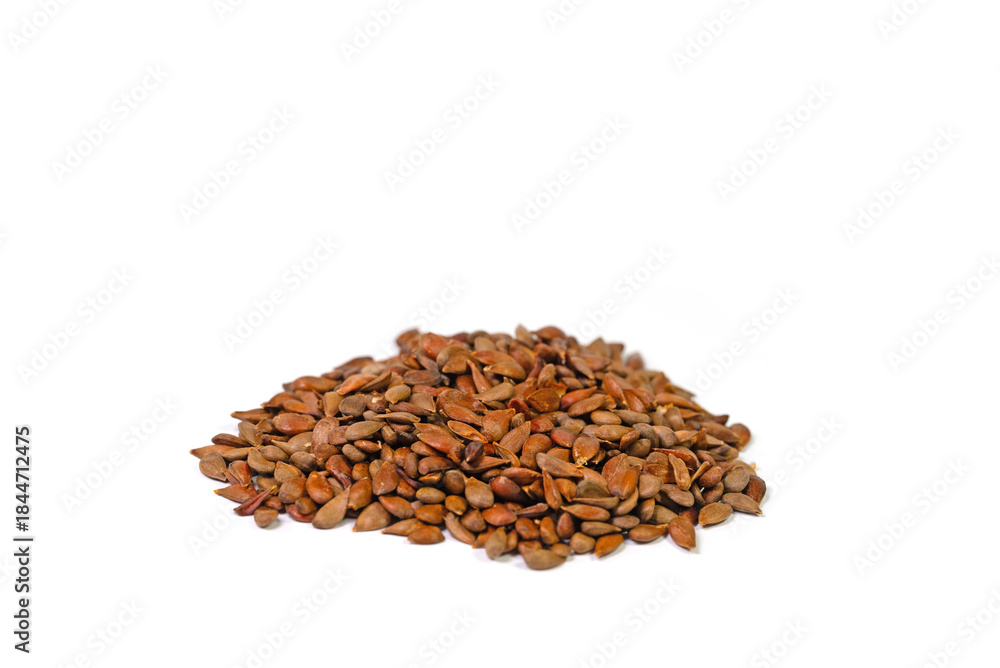 Obraz premium Apfelkerne vor weißem Hintergrund