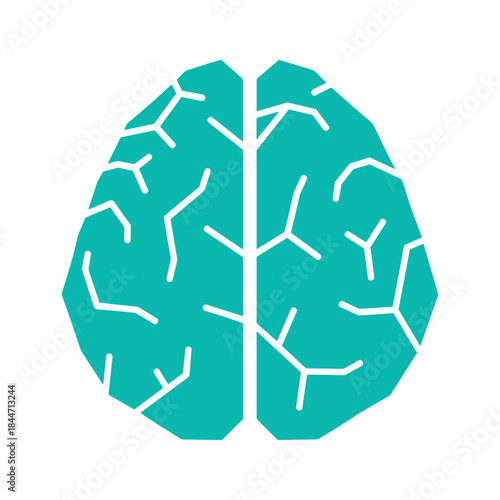 Human brain illustration with neural pathways