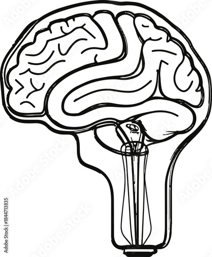 Minimal line art of a human brain shaped like a light bulb, creativity and innovation concept, bold outline vector 3