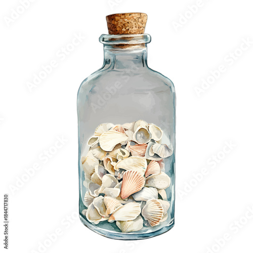 Seashells In Glass Bottle Coastal Marine Art
