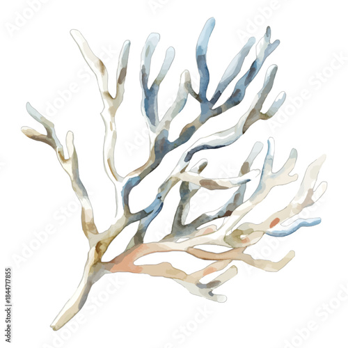 White Coral Branch Underwater Marine Life Illustration
