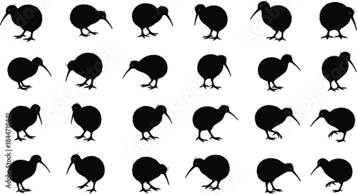 Kiwi bird silhouette, posture variation, wildlife vector, black figure, isolated, white background, nature icon, bird grid, visual puzzle, anatomy