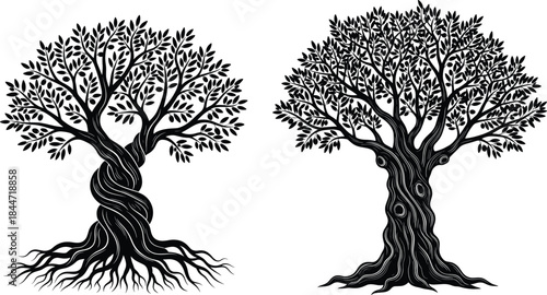 Tree silhouette, twisted trunk, canopy leaves, artistic vector, black figure, isolated, white background, nature icon, root detail, symmetry