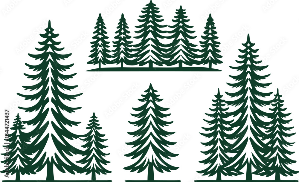 Obraz premium Pine Tree Set in Clean Outline Strokes. Minimal Pine Tree Illustration with Line Art Style. Botanical Pine Tree Design in Outline Style. Forest Pine Tree Collection with Thin Line Art. Natural Pine