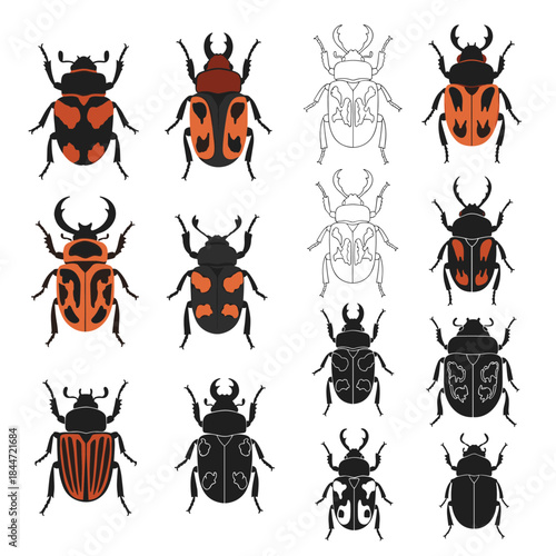 Colorful beetle illustrations arranged in a grid displaying orange and black patterns across multiple stylized species and line art variations.