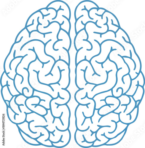 Human brain icon in line style.