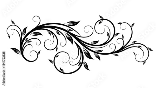Elegant Swirl Floral Design: A graceful, symmetrical pattern of intertwining leaves and delicate curls forming a stylish ornamental flourish.