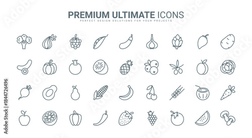 Fruit and vegetable thin line icons set vector illustration. Outline organic healthy farm food for healthy nutrition, fresh apple and orange, banana and cherry berry, carrot and potato for cooking