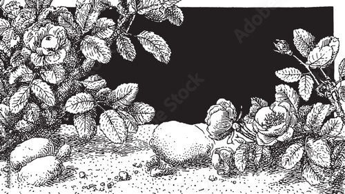 Hand-drawn botanical illustration featuring flowers and leaves in black and white. This detailed vector set highlights roses and textured foliage.