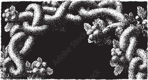 Decorative vine illustration featuring intricate branches and leaves. Black and white vector art with detailed texture.