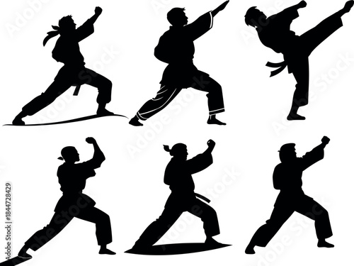 karate fighter silhouette vector illustration