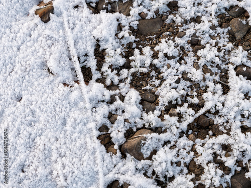 Frosty shore stones