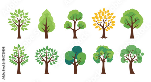 Collection of stylized trees in different shapes and colors arranged in two rows to create a vivid nature scene illustration suitable for design projects.