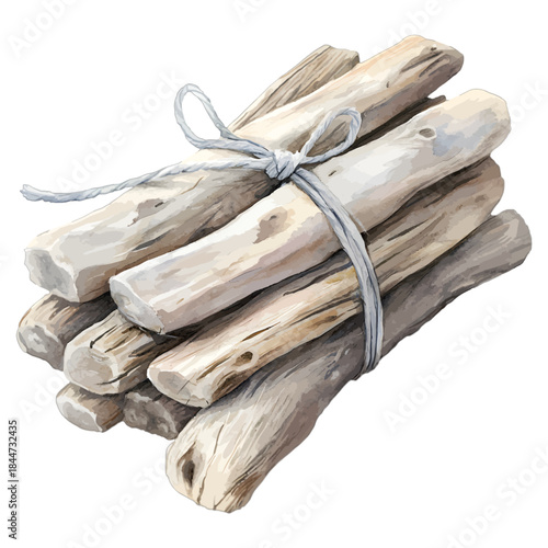 Bundle of Driftwood Sticks Tied with Twine Illustration, Coastal Decor Vector
