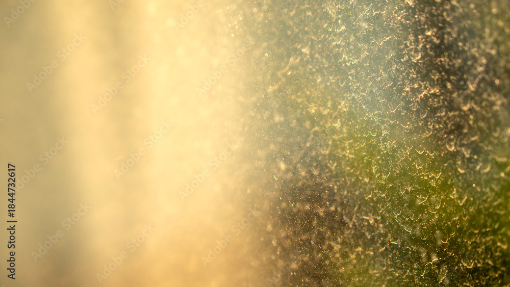 Obraz premium A macro photograph of condensation on a window, backlit by warm sunlight. Features a textured, granular pattern in hues of gold, yellow, green, and brown, creating an abstract effect.