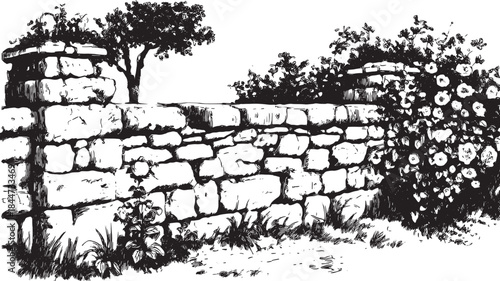 Stone wall with flowers and a tree in a rustic garden. Black and white vector illustration depicting natural elements in a simple design.