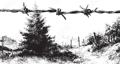 Barbed wire fence and rural landscape with trees in black and white vector illustration. Engraving style linework creates a vintage illustration.
