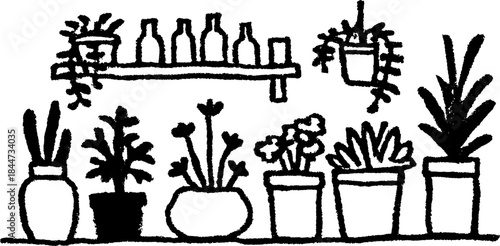 Indoor garden set with various plants in pots and vases. Simple black and white vector illustration for botanical design.