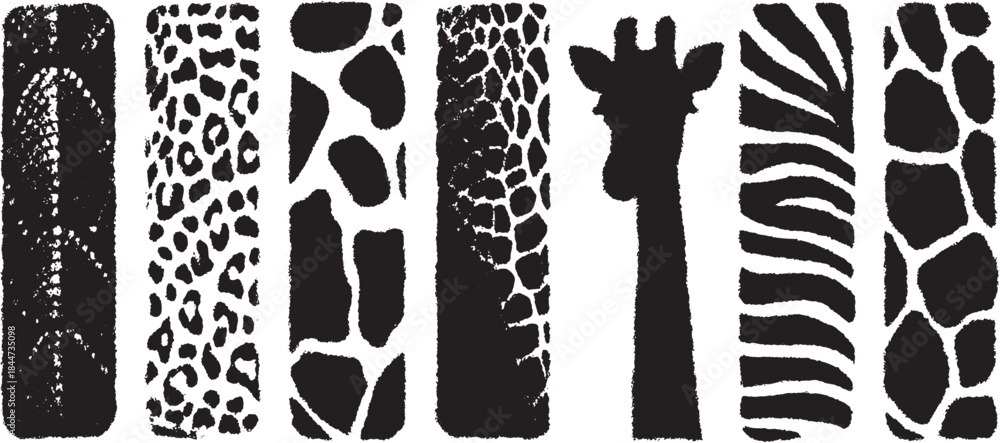 Obraz premium Animal texture patterns including spots and stripes. This set features giraffe, zebra, and leopard designs in a black and white vector illustration.