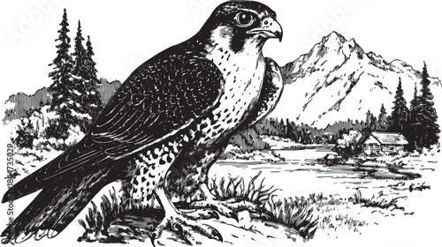 Falcon in a detailed black and white illustration. Set against mountains, trees, and a river, displaying nature and wildlife in vector art.