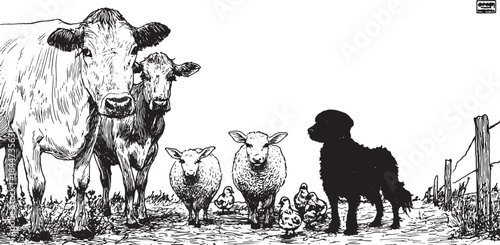 Farm animals including cows, sheep, and chickens in a rural outdoor setting. Hand-drawn vector illustration depicting a harmonious farm environment.