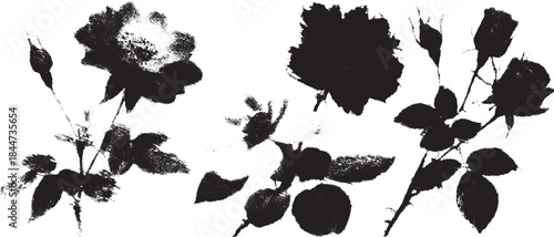 Black rose flower illustration on a white background. Elegant vector set design featuring abstract shapes and outlines.