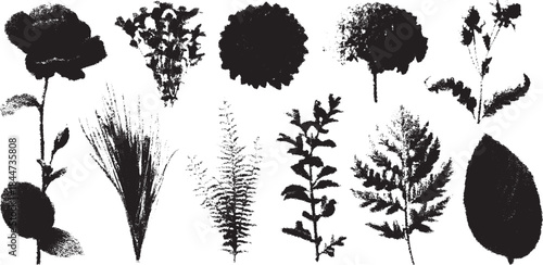 Botanical illustration featuring various plant shapes and flowers. Black silhouette vector set showcasing natural details and textures.