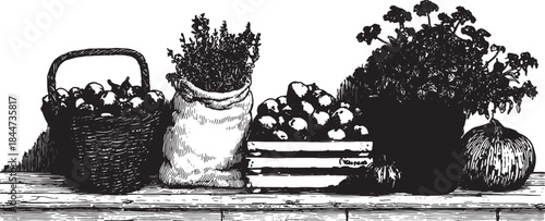 Vegetables and herbs arranged in a rustic setting. This vector illustration features a basket, pots, and a variety of plants set for a natural kitchen display.