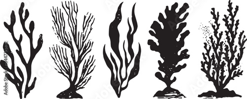 Vector illustration of various coral shapes in black color. Simple graphics representing aquatic plant life in a set.