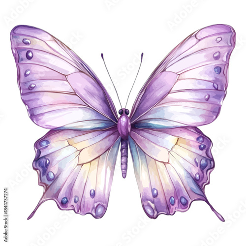 Watercolor purple butterfly illustration, elegant nature vector
