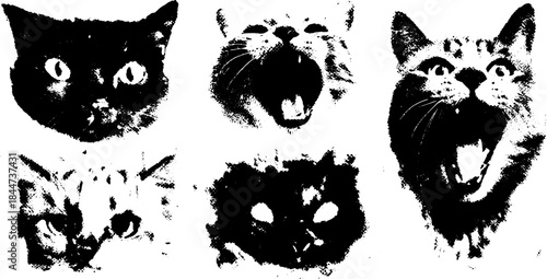 Cat illustrations in black and white. Fierce expressions highlighted in this vector set of graphics.