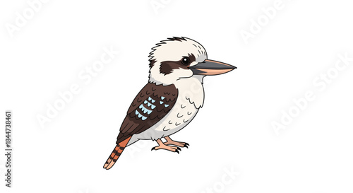 Detailed and colorful cartoon illustration of a kookaburra a native Australian bird known for its distinctive call.